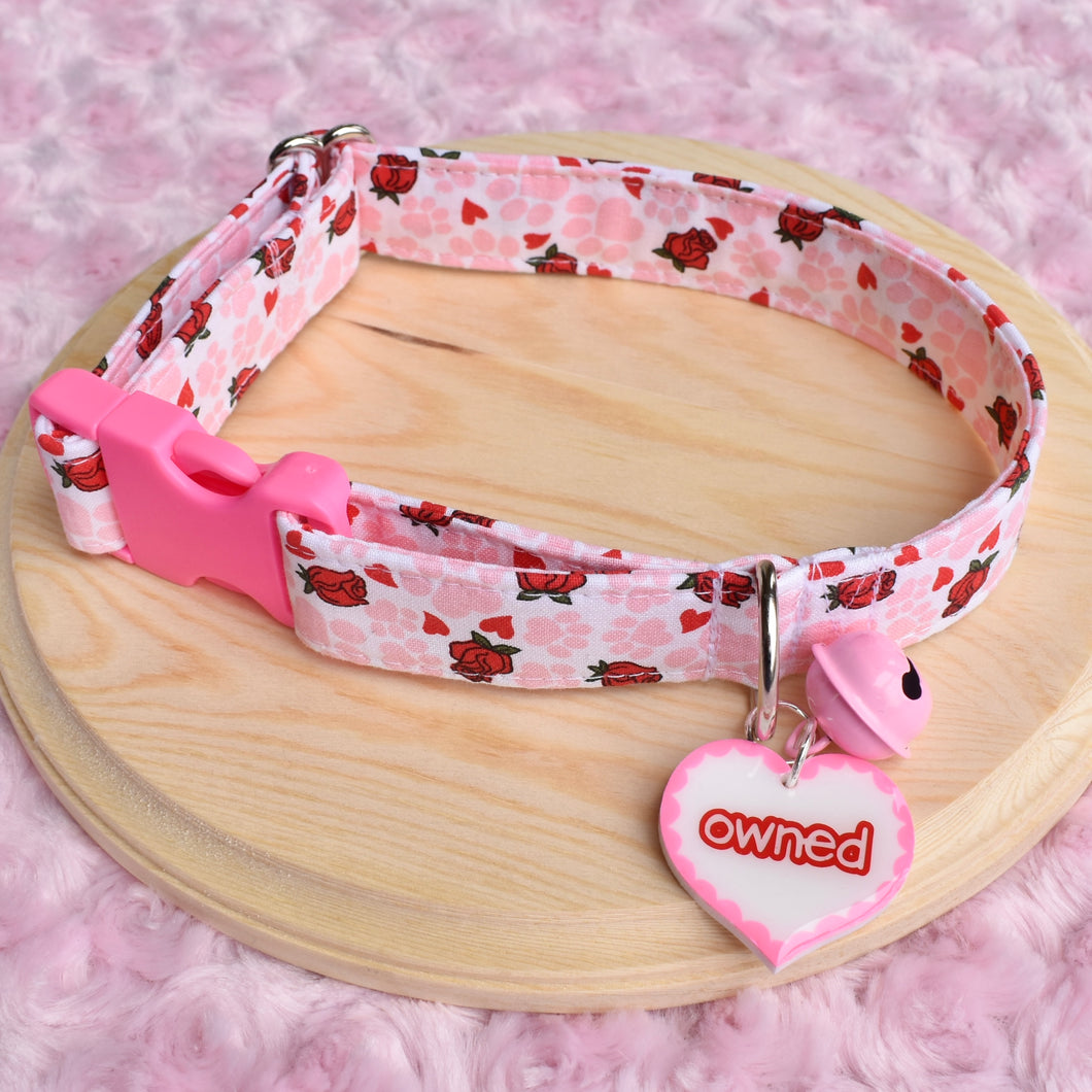 PRE-ORDER Owned Bundle Collar 12-18inch & Collar Tag